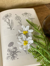 Load image into Gallery viewer, Close-up of two white beaded daisies with yellow centres resting on a botanical illustrated book