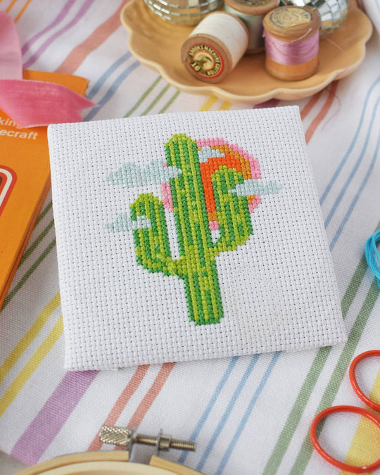 Finished cactus mini cross stitch kit design stitched on white Aida fabric with embroidery threads and scissors