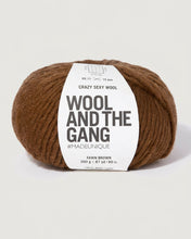 Load image into Gallery viewer, Crazy Sexy Wool Super Chunky Yarn in Fawn Brown by Wool and the Gang