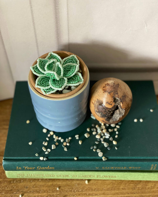 Beaded Echeveria succulent from the Beaded Garden craft kit in a blue pot beside books