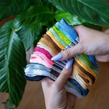 Load image into Gallery viewer, Contents of the Kitten Minis cross stitch kit: three hoops, cream Aida and 15 skeins of thread.