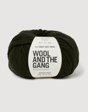 Load image into Gallery viewer, Lil Crazy Sexy Wool chunky yarn in Heritage Green by Wool and the Gang