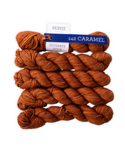 Load image into Gallery viewer, Ultimate Sock Minis Superwash Merino 4ply Yarn in Caramel by Malabrigo