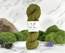 Load image into Gallery viewer, Lowland DK Yarn - World of Wool
