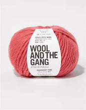 Load image into Gallery viewer, Crazy Sexy Wool Super Chunky Yarn in Raspberry Pink by Wool and the Gang
