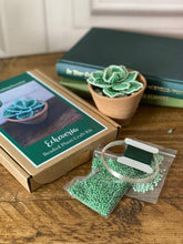Load image into Gallery viewer, Echeveria Succulent Beaded Craft Kit box with green seed beads, wire and a finished beaded succulent in a terracotta pot
