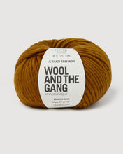 Load image into Gallery viewer, Lil Crazy Sexy Wool chunky yarn in Bronzed Olive by Wool and the Gang
