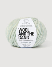 Load image into Gallery viewer, Lil Crazy Sexy Wool chunky yarn in Duck Egg Blue Marl by Wool and the Gang
