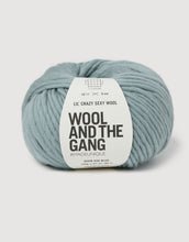 Load image into Gallery viewer, Lil Crazy Sexy Wool chunky yarn in Duck Egg Blue by Wool and the Gang
