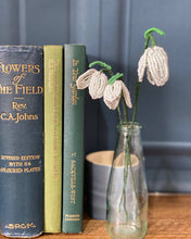 Load image into Gallery viewer, Beaded snowdrop flowers displayed in a small vase.
